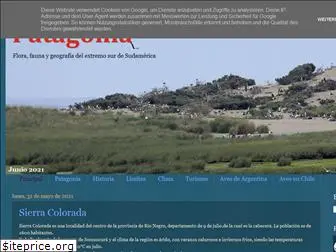 patagonia-ffg.blogspot.com
