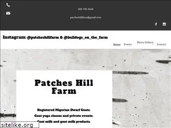 patcheshillfarm.com