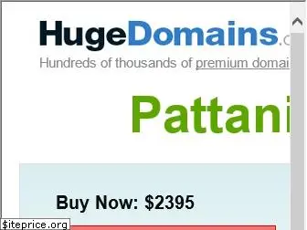 pattanitoday.com