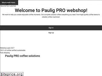 pauligprofessional.com