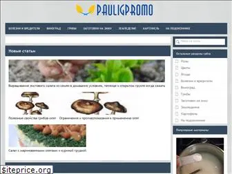 pauligpromo.ru