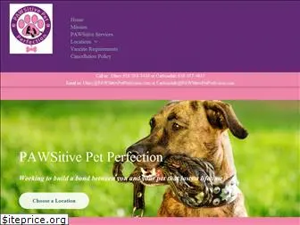 pawsitivepetperfection.com