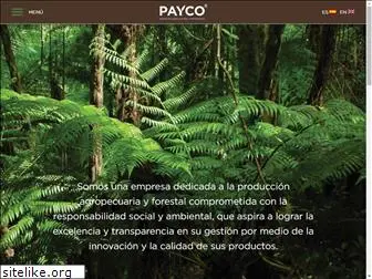 payco.com.py