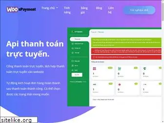 paymentsolution.info