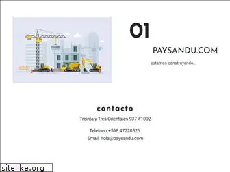 paysandu.com