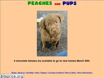 peachesandpups.com