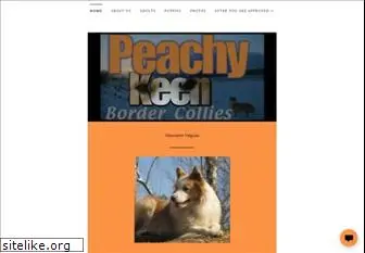 peachykeenbc.com