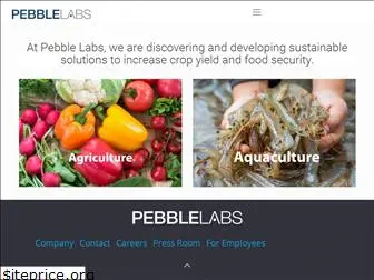 pebblelabs.com