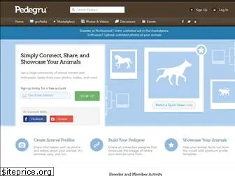 pedegru.com