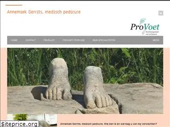 pedicure-annemiek.nl