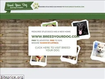 www.pedigreestuddogs.co.uk