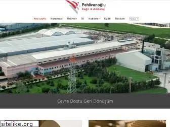 pehlivanoglukagit.com.tr