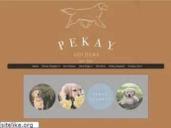 pekaygoldens.com