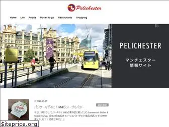 pelicanmanchester.com