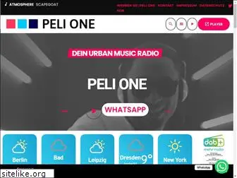 pelioneradio.de