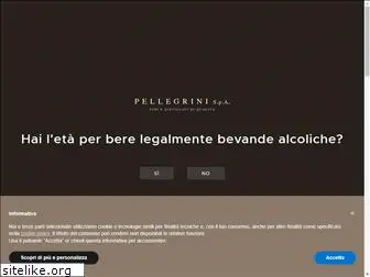 pellegrinispa.net