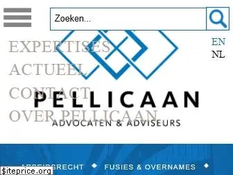pellicaan.nl