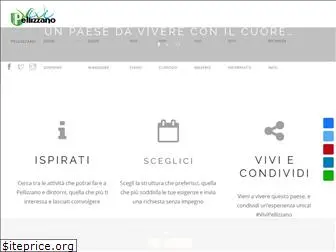 pellizzano.com