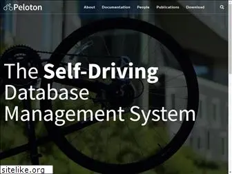 pelotondb.io