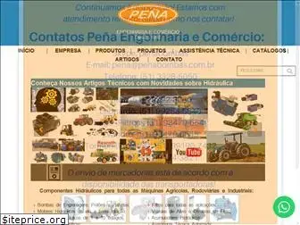 penaeng.com.br