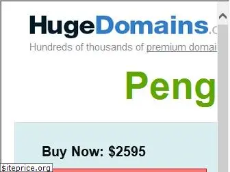 pengineer.com