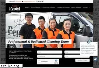 penielcleaning.com.sg