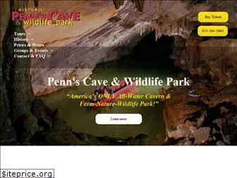 pennscave.com