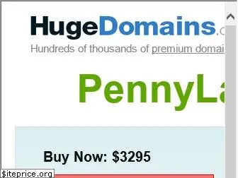 pennylaneusa.com