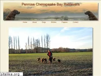 penrose-chesapeakes.co.uk