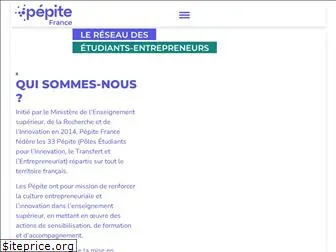 pepite-france.fr