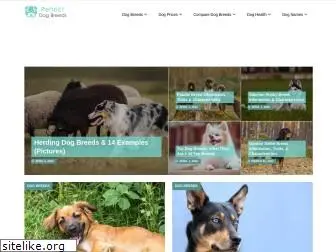 perfectdogbreeds.com