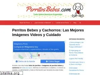 perritosbebes.com