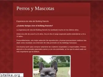 perrosymascotas.net