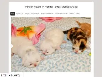 persiankittensinflorida.com