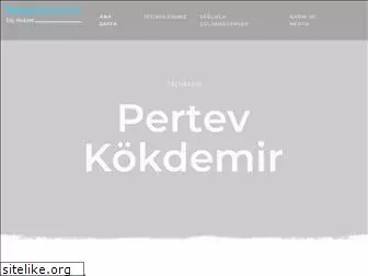 pertevkokdemir.com