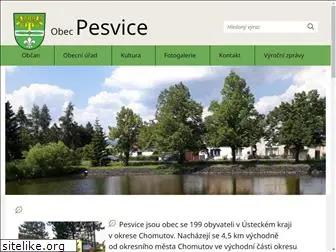 pesvice.cz