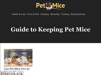 pet-mice.com