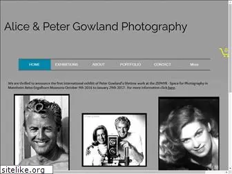 petergowland.com