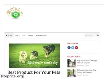 petful101.com