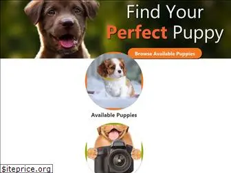 petlandwichita.com