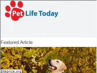 petlifetoday.com