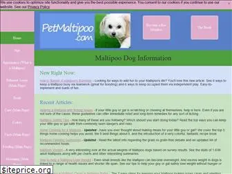 petmaltipoo.com