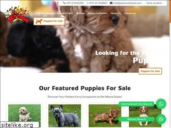 petmaniadubai.com