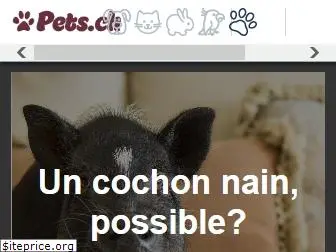 pets.ch