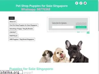 petshoppuppiesforsalesingapore.com