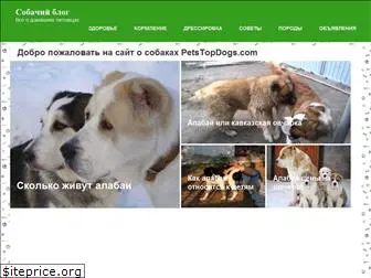 petstopdog.info