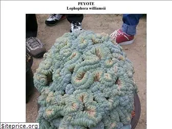 peyote.com