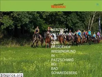 pferdehof-wiesengrund-web.de