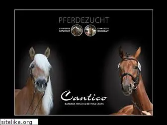 pferdezucht-cantico.com