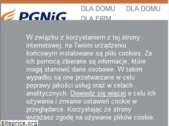 pgnig.pl